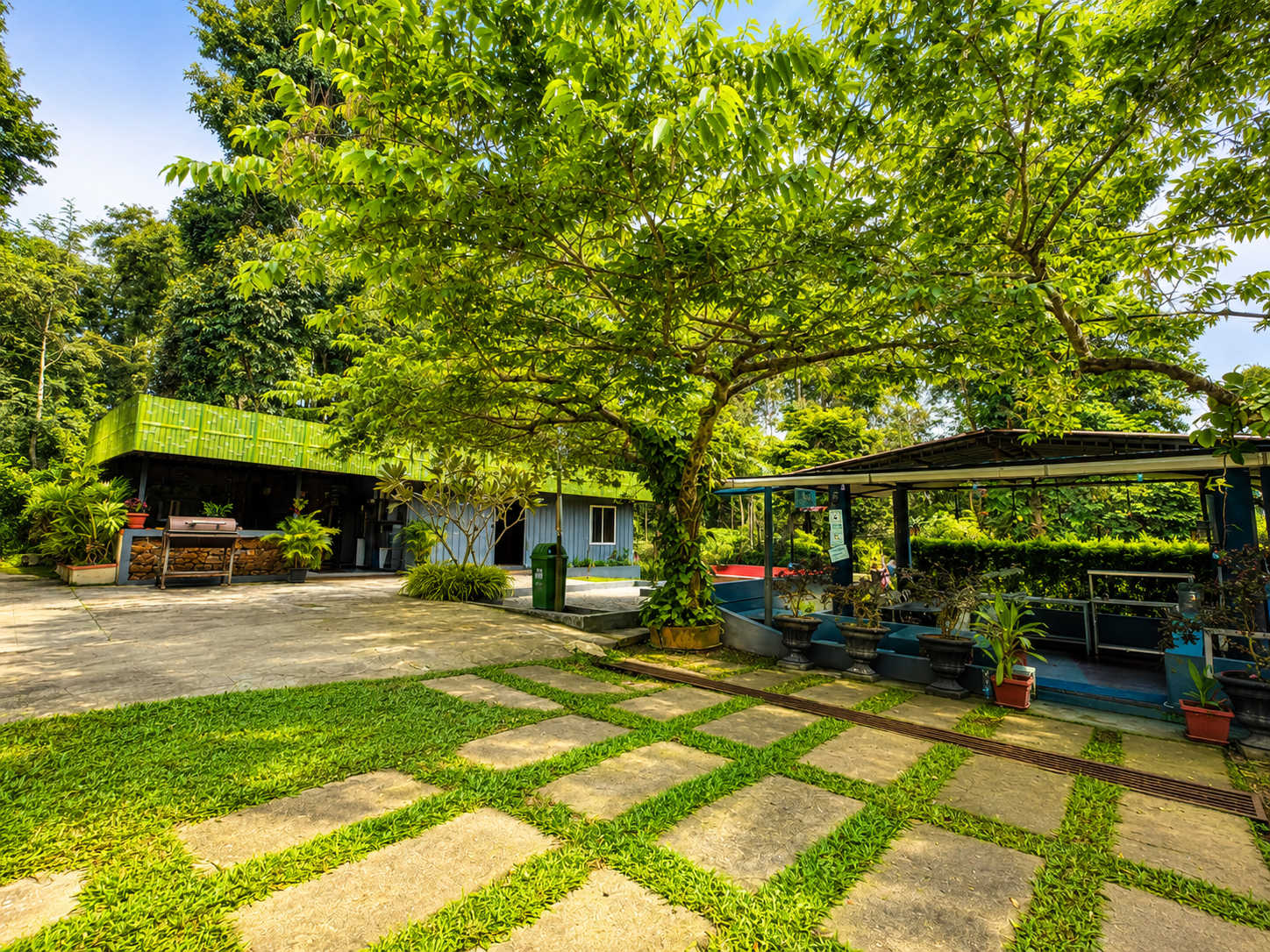 Garden