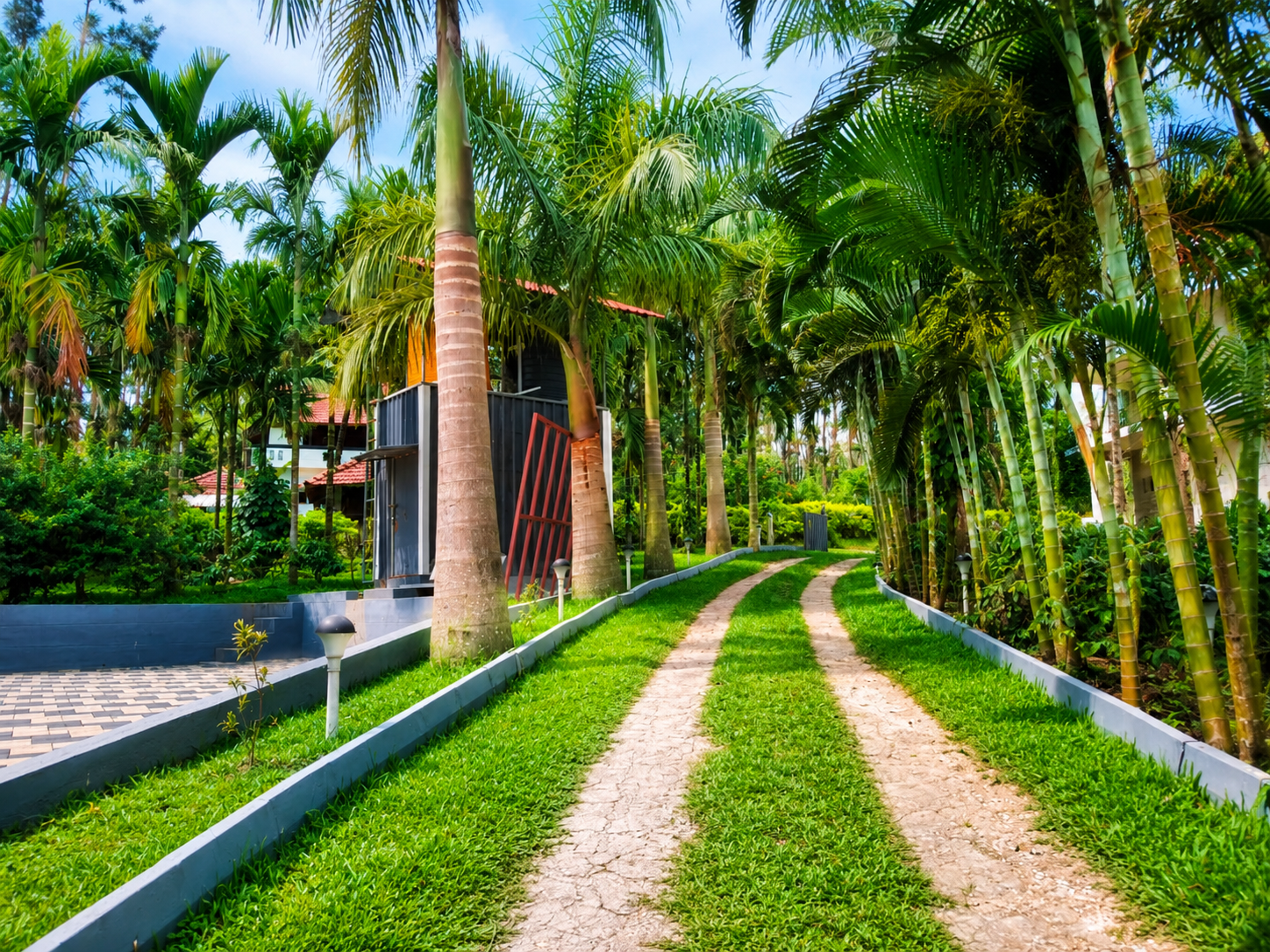 Walking trail